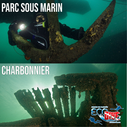 Excursions De 2 Plongées -  Parc Sous Marin + Charbonnier